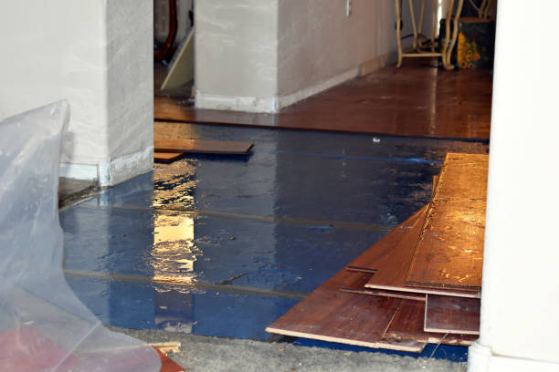 Professional Burst Pipe Cleanup technician working in Mendon, MA